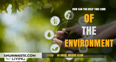 Sustainable Living: Simple Steps to Protect and Preserve Our Planet