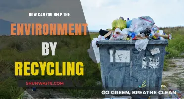 Recycling Right: Simple Steps to Protect Our Planet and Reduce Waste