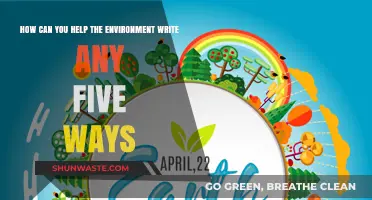 Simple Eco-Friendly Actions: Five Ways to Protect Our Planet Today