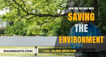 Sustainable Steps: Simple Ways to Protect Our Planet Daily