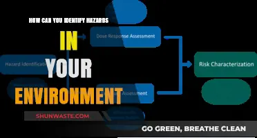 Spotting Hidden Dangers: A Guide to Identifying Environmental Hazards