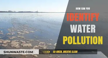 Unveiling the Signs: A Guide to Spotting Water Pollution