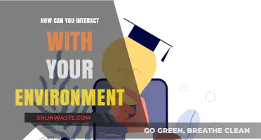 Engage, Explore, and Connect: Mastering Interaction with Your Environment