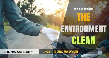 Sustainable Steps: Simple Ways to Keep Our Environment Clean