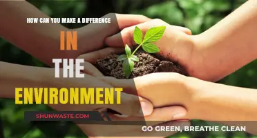 Small Actions, Big Impact: Simple Ways to Protect Our Environment