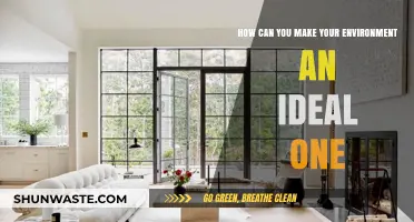 Crafting Your Perfect Environment: Simple Steps for Ideal Living Spaces