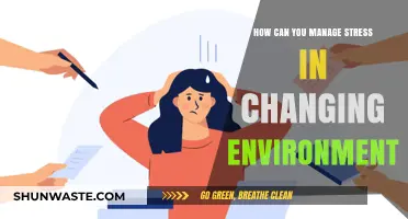 Navigating Change: Effective Strategies to Manage Stress in Dynamic Environments