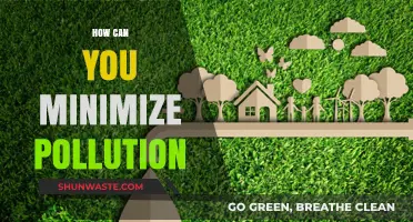 Green Tips: Simple Steps to Reduce Pollution and Protect Our Planet