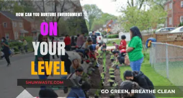 Sustainable Steps: How You Can Foster a Greener Environment Locally
