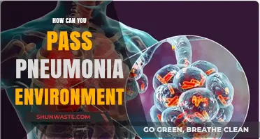 Surviving Pneumonia: Tips to Navigate and Overcome a Pneumonia Environment