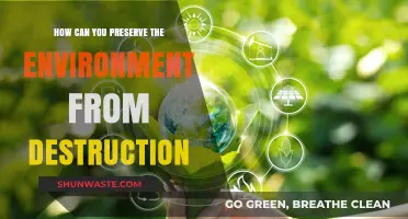 Sustainable Practices to Protect Our Planet from Environmental Destruction