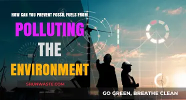Clean Energy Solutions: Preventing Fossil Fuel Pollution for a Greener Future
