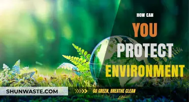 Sustainable Living: Simple Steps to Protect Our Environment Effectively