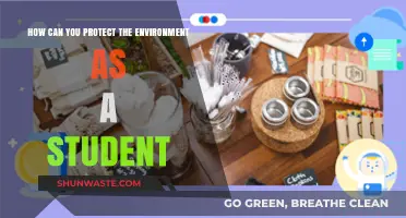Eco-Friendly Student Life: Simple Steps to Protect Our Planet