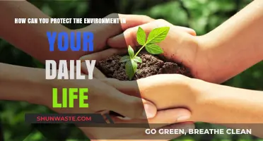 Simple Daily Habits to Protect Our Environment and Save Earth