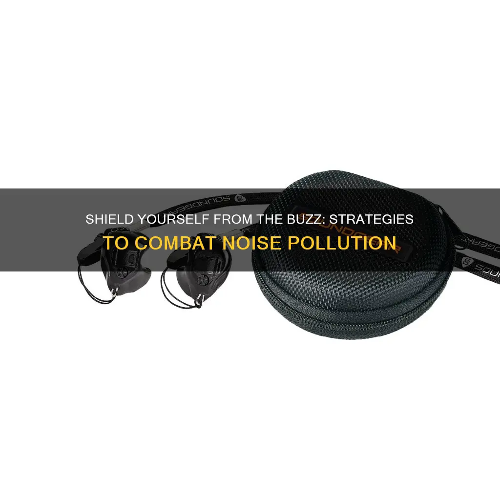 how can you protect yourself from noise pollution