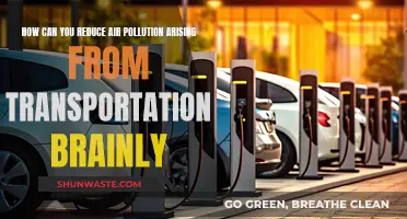 Transportation Air Pollution: Reducing Its Impact