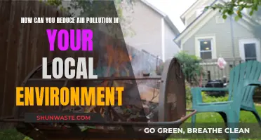 Local Air, Local Action: Reducing Pollution Together