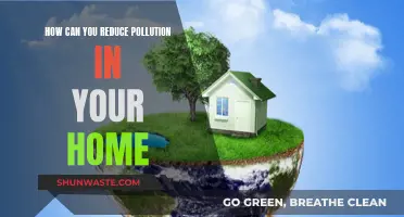 Simple Home Hacks to Reduce Pollution and Breathe Easy