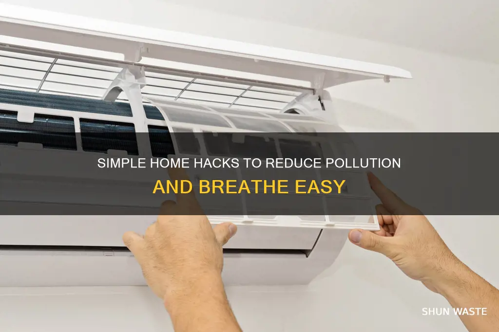 how can you reduce pollution in your home