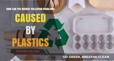 Beat Plastic Pollution: Simple Steps for a Greener Future