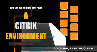 Efficiently Extracting Text from Citrix Environments: A Comprehensive Guide