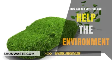 Eco-Friendly Driving Tips: Save Fuel, Reduce Emissions, Protect Our Planet