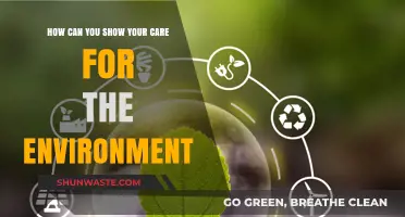 Sustainable Steps: Simple Ways to Show Your Care for the Environment