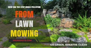 Green Solutions: Preventing Grass Pollution from Lawn Care