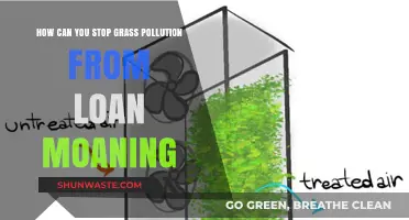 Green Solutions: Stop Grass Pollution, Save Your Lawn