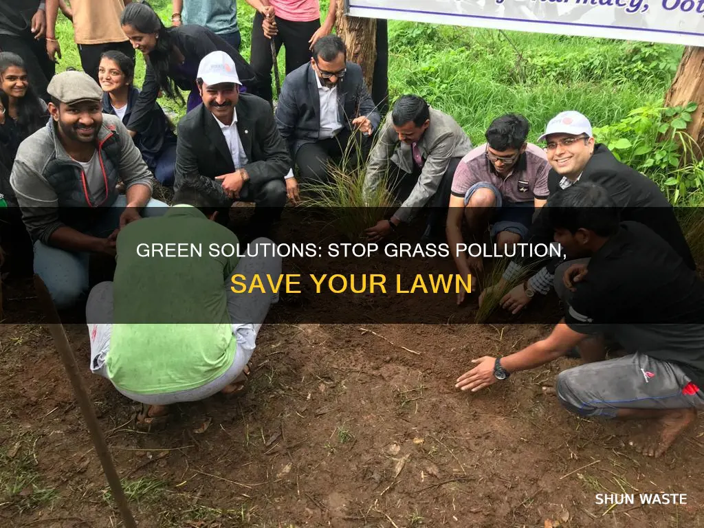 how can you stop grass pollution from loan moaning