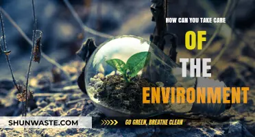 Sustainable Living: Simple Steps to Protect and Preserve Our Environment