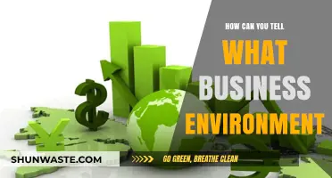 Identifying Your Business Environment: Key Indicators and Strategic Insights