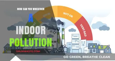 Tackling Indoor Pollution: Strategies for a Healthier Home