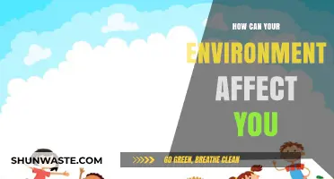 Surroundings Shape You: Uncovering Environmental Impacts on Mind and Body