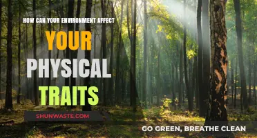Environmental Influences: Shaping Your Physical Traits and Characteristics