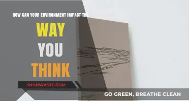 Surroundings Shape Minds: How Your Environment Influences Thought Patterns