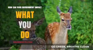 Surroundings Shape Actions: How Your Environment Influences Daily Decisions