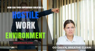 Supervisor Behavior: Recognizing and Addressing Hostile Work Environments