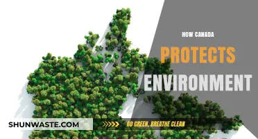 Canada's Green Commitment: Policies and Practices for Environmental Protection