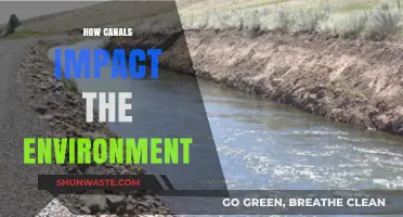 Canals' Environmental Impact: Benefits, Challenges, and Sustainable Solutions Explored