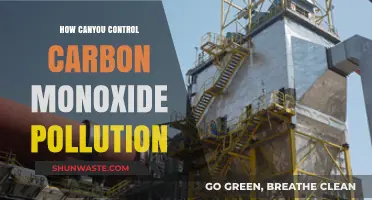 Carbon Monoxide Pollution: Control and Prevention Methods