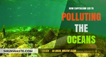 Capitalism's Dark Legacy: Polluting Our Oceans