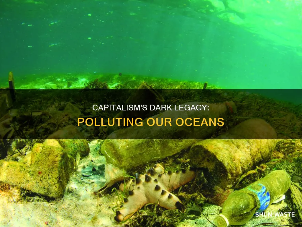 how capitalism led to polluting the oceans