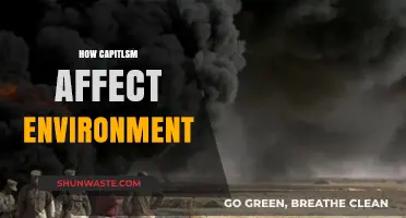 Capitalism's Environmental Impact: Profits vs. Planet's Sustainability Crisis
