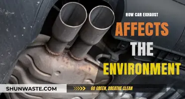Car Exhaust Emissions: Environmental Impact and Sustainable Solutions Explored