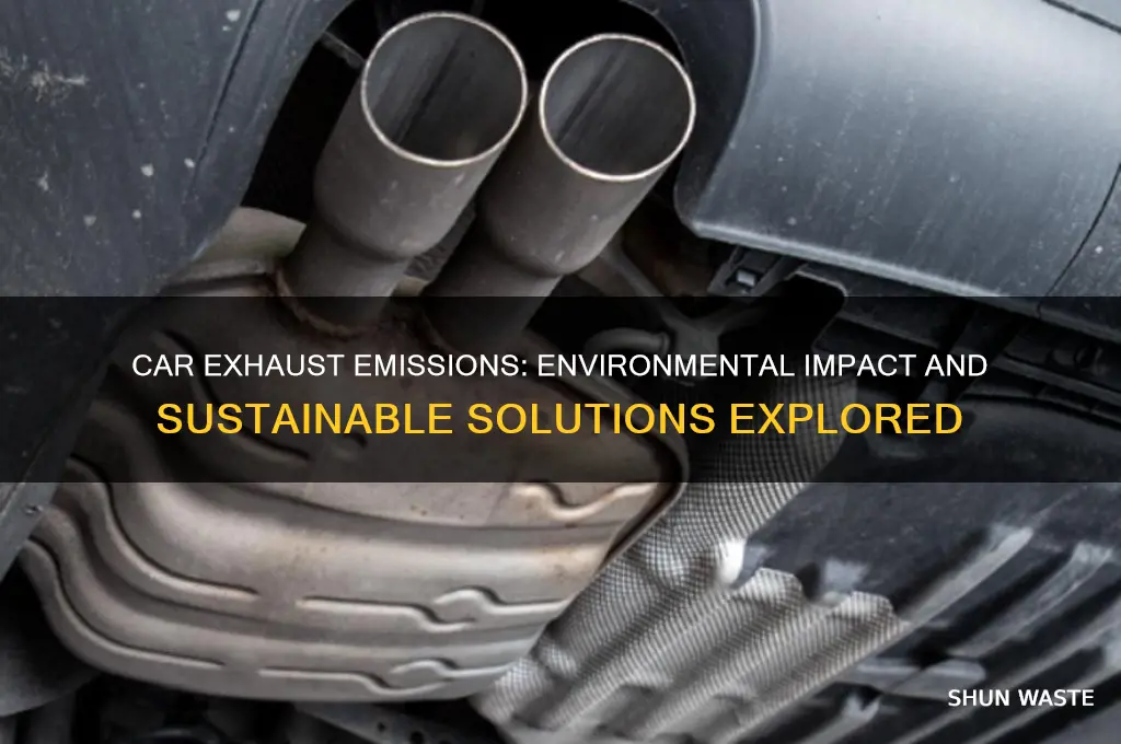 how car exhaust affects the environment