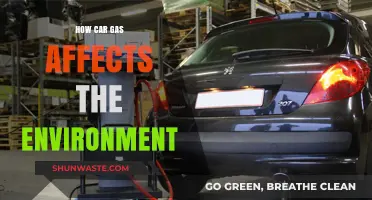Car Gas Emissions: Environmental Impact and Sustainable Alternatives Explained