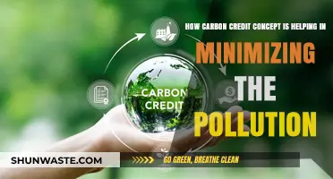 Carbon Credits: Reducing Pollution, Saving the Planet