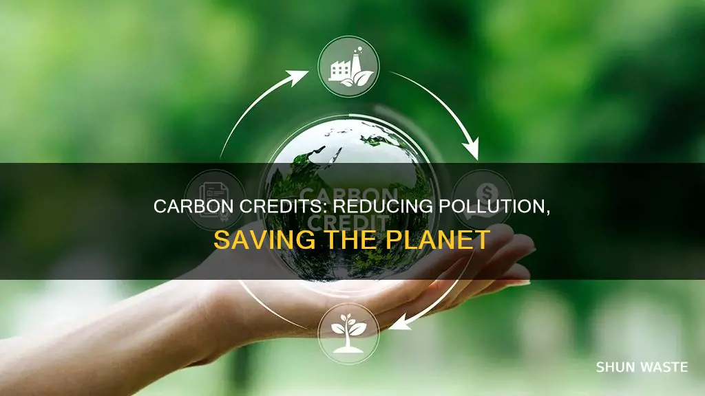 how carbon credit concept is helping in minimizing the pollution